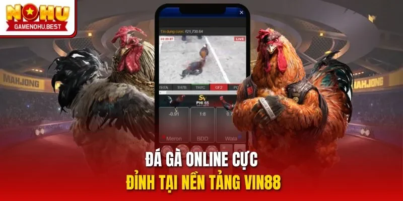 Đá gà online cực đỉnh tại nền tảng VIN88