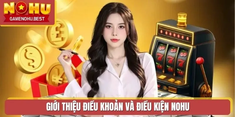 Giới thiệu điều khoản và điều kiện NOHU