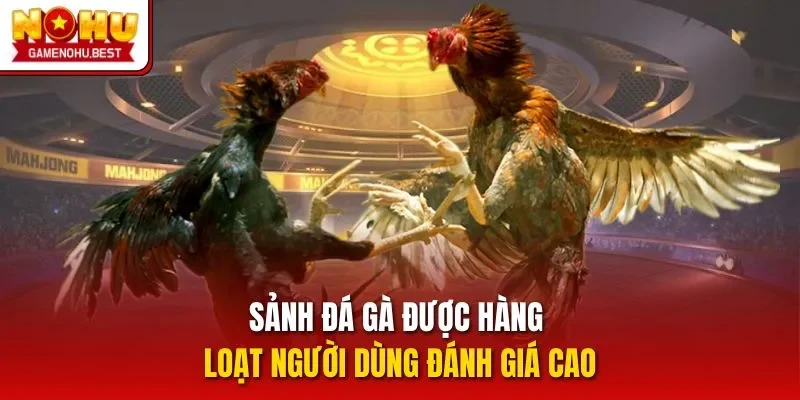Sảnh đá gà được hàng loạt người dùng đánh giá cao