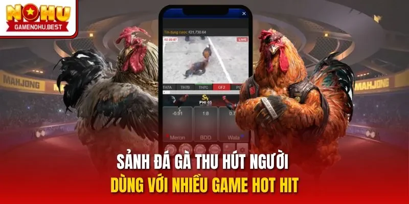 Sảnh đá gà thu hút người dùng với nhiều game hot hit